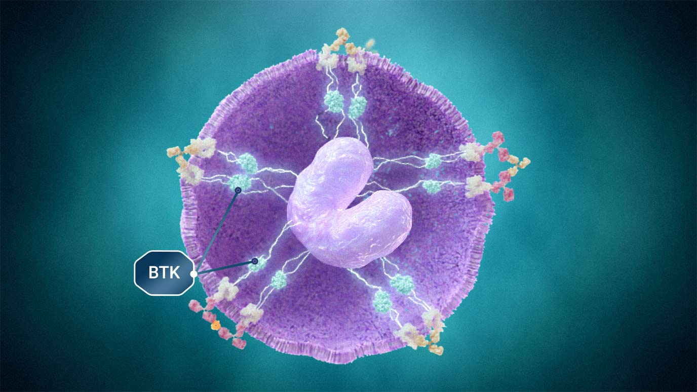 Illustration showing basophils and how IgE and IgG similarly trigger the BTK.